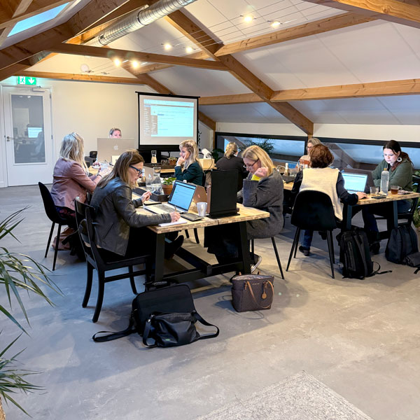 website-maken-Workshop-dream-brand-